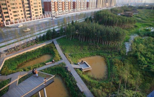 Qunli_National_Urban_Wetland-by-Turenscape-landscape_architecture-02-730x461