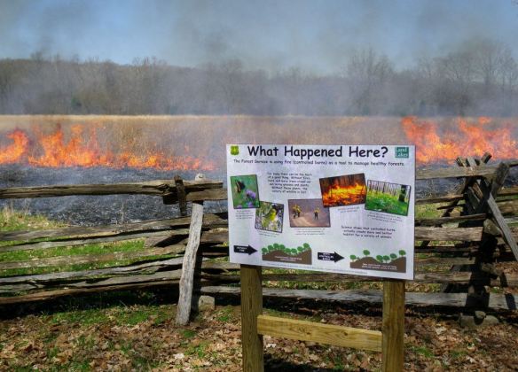 23533542331_cfee694f62_b